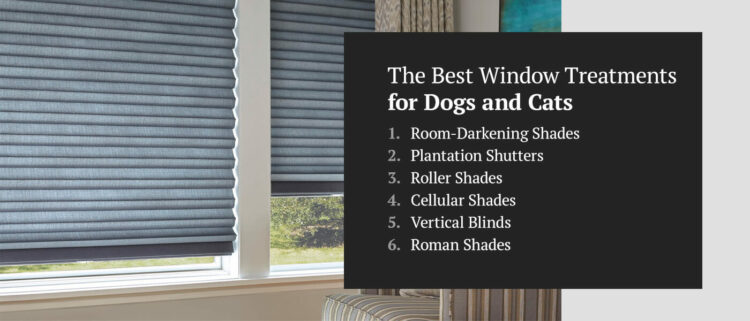 The Best Window Treatments for Dogs and Cats